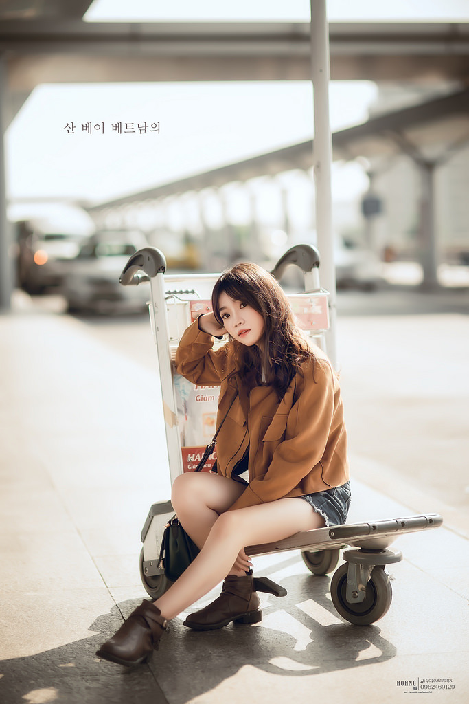 七仙女电视剧